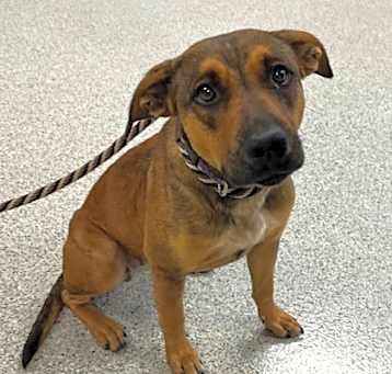 Photo of DEEDEE
