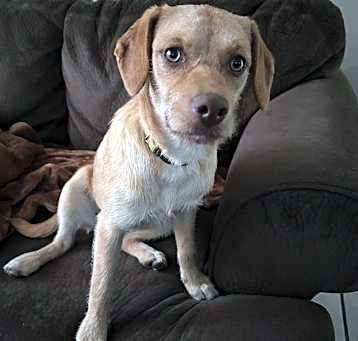 Photo of JAVA
