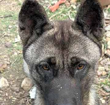 Photo of OSA