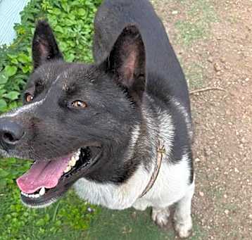 Photo of OSO