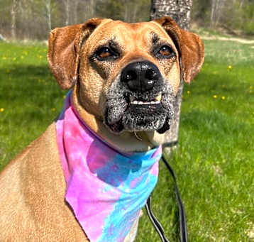 Photo of Gretchen