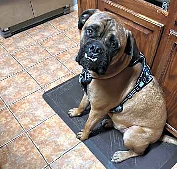 Photo of Hugo
