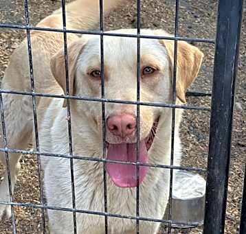 Photo of Duke