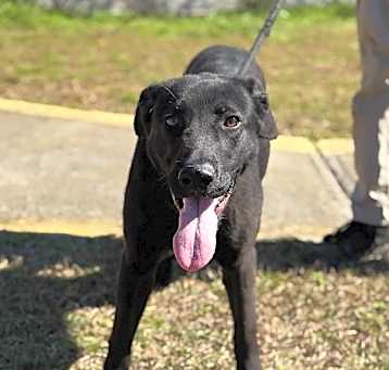 Photo of Drake 23D-0495