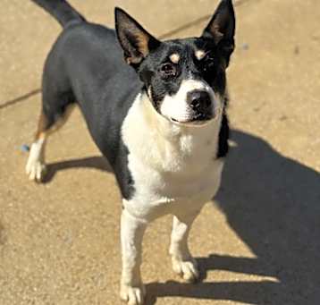 Photo of Gemma 23D-0370