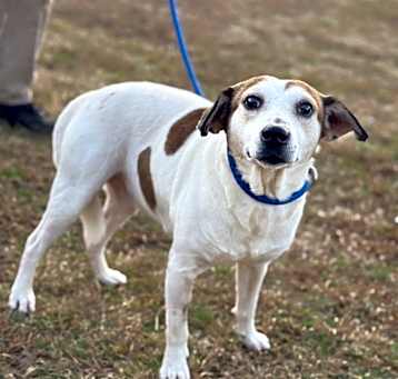 Photo of Bob 23D-0490