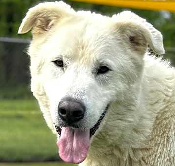 Photo of Charlie