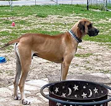 Photo of Oscar