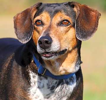 Photo of Lola