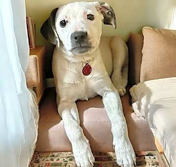 Photo of Marie