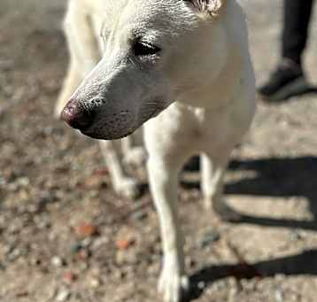 Photo of LUMI