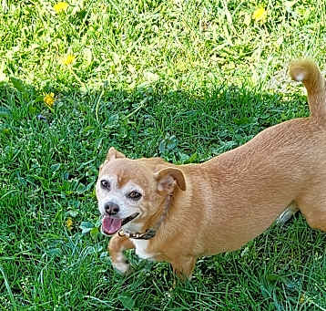 Photo of Zelda