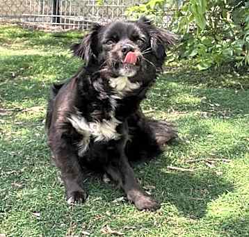 Photo of *CLOVER