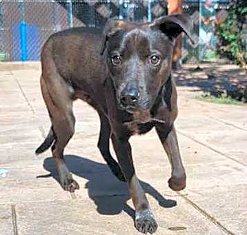Photo of Bennie