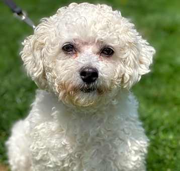 Photo of Coconut