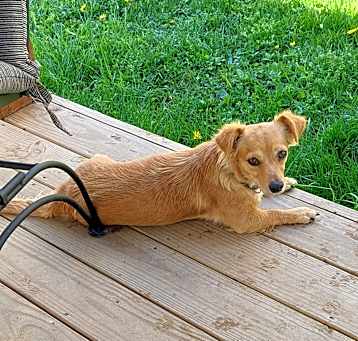 Photo of Whimsy