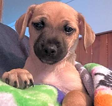 Photo of Tucker
