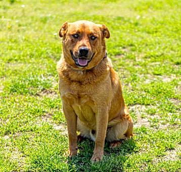 Photo of Zeke