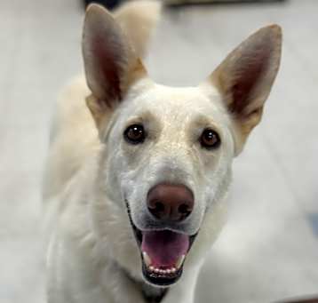 Photo of Roxy Aka Delany
