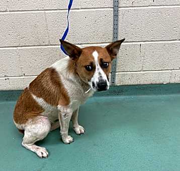 Photo of Soozie