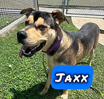 Photo of Jaxx