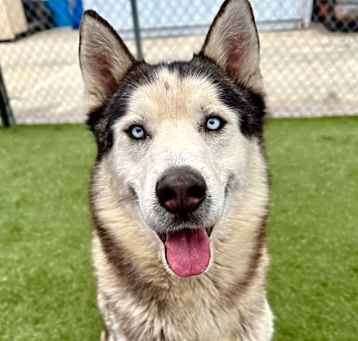 Photo of Denali 