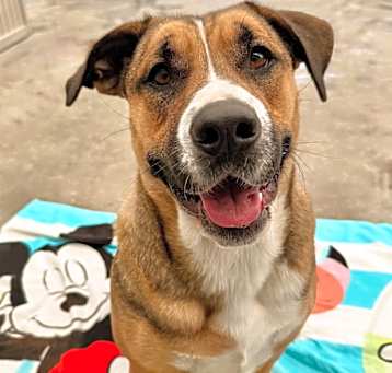 Photo of Penny
