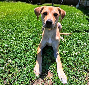 Photo of Axel 