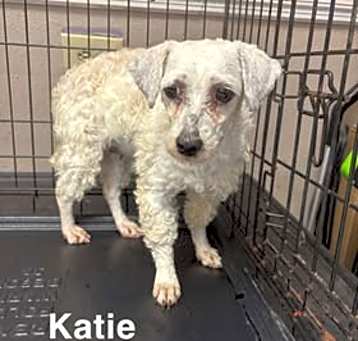 Photo of Katie