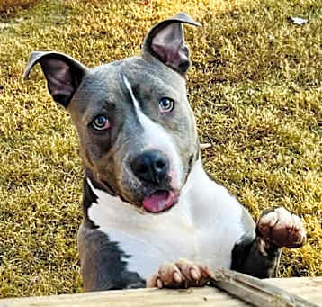 Photo of Jay