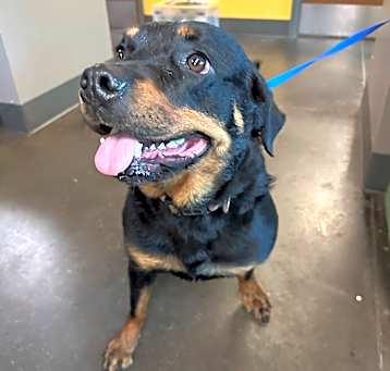 Photo of Velma