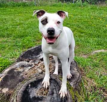 Photo of Meila