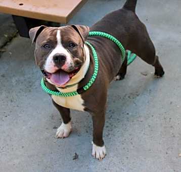 Photo of *TURBO