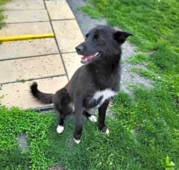 Photo of Bella