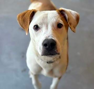 Photo of Phineas