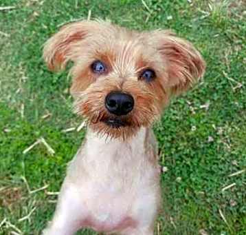 Photo of Bartley