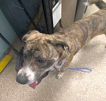 Photo of Tank