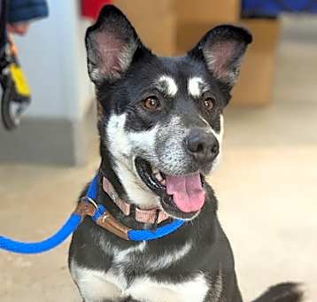 Photo of Estrella