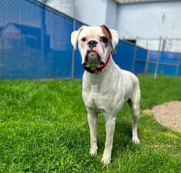 Photo of Mack