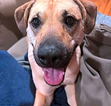 Photo of Baby Girl