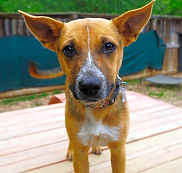 Photo of Artemis