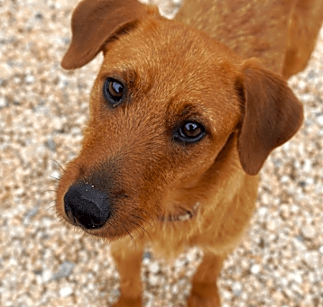 Photo of Laverne