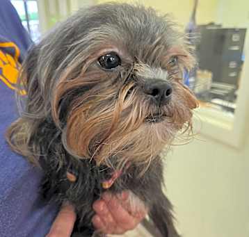 Photo of Hershey
