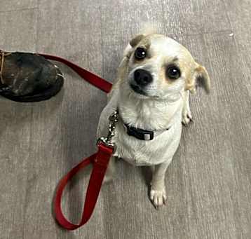 Photo of Tucker