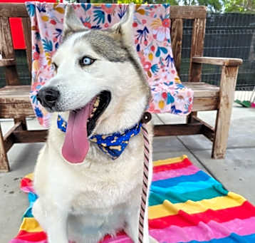 Photo of Azul