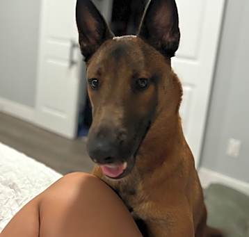 Photo of NACHO