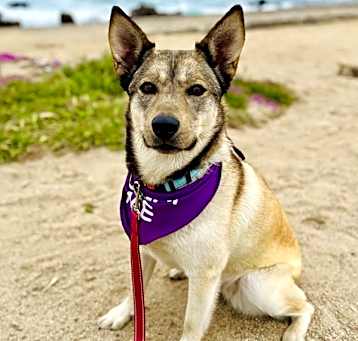Photo of Luna
