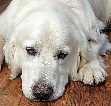 Photo of Maverick