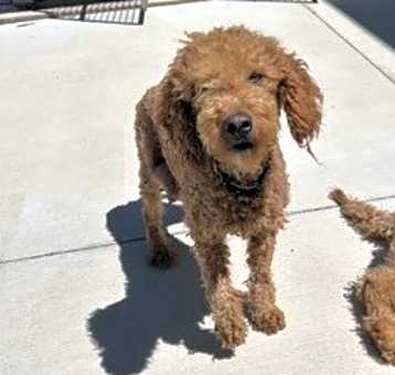 Photo of Lilly
