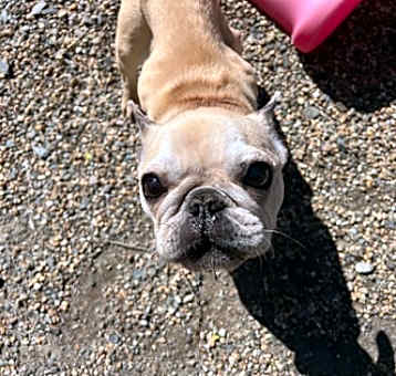 Photo of Mallory